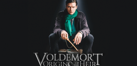 Crowdfunding "Voldemort: Origins of the Heir", the brand new film from the Harry Potter world; film, adventure, warner bros, J.K. Rowling 
